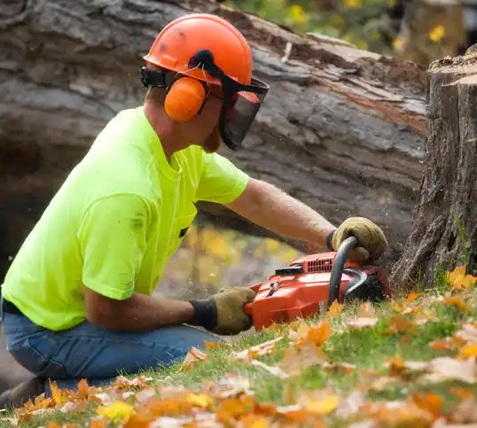 tree services Connelly Springs